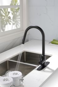 Kitchen Faucet with Pull Down Sprayer (Color: Matte Black)