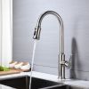 Single Handle Pull Down Kitchen Faucet with Dual Function Sprayhead
